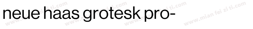 neue haas grotesk pro字体转换